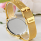 Most Luxurious Black and Mesh Band Watch for Woman