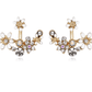 Crystal Garden Flowered Stud Earrings & Jacket In Four Colors