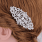 Feshionn IOBI Hair Jewelry Vintage Style Crystal and Filigree Hair Comb